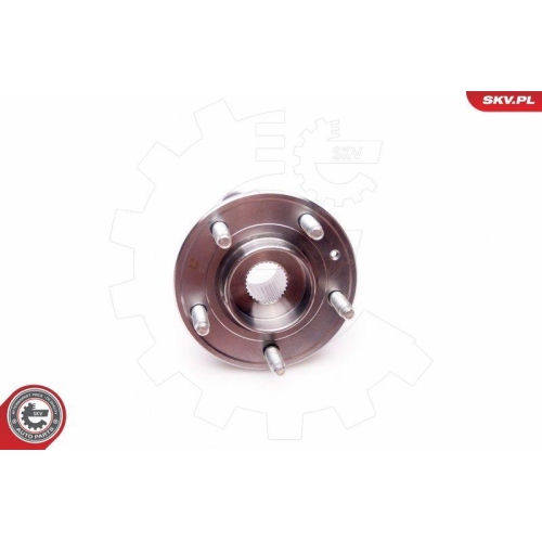 ESEN SKV Radlagersatz
