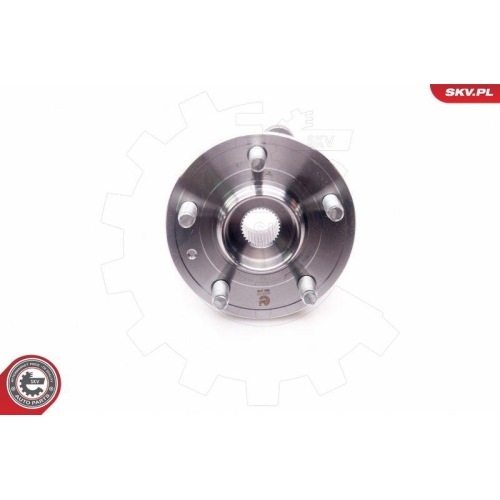 ESEN SKV Radlagersatz
