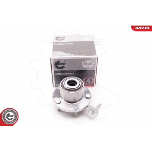 ESEN SKV Radlagersatz