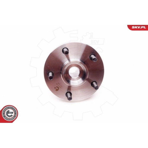 ESEN SKV Radlagersatz