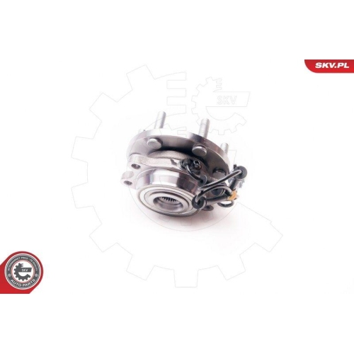 ESEN SKV Radlagersatz