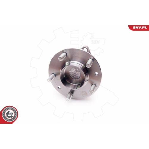 ESEN SKV Radlagersatz