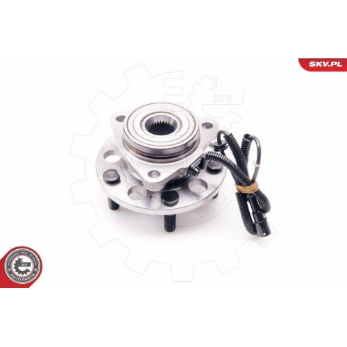 ESEN SKV Radlagersatz