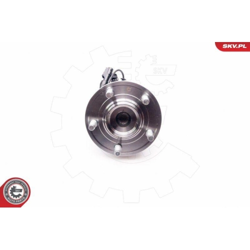 ESEN SKV Radlagersatz