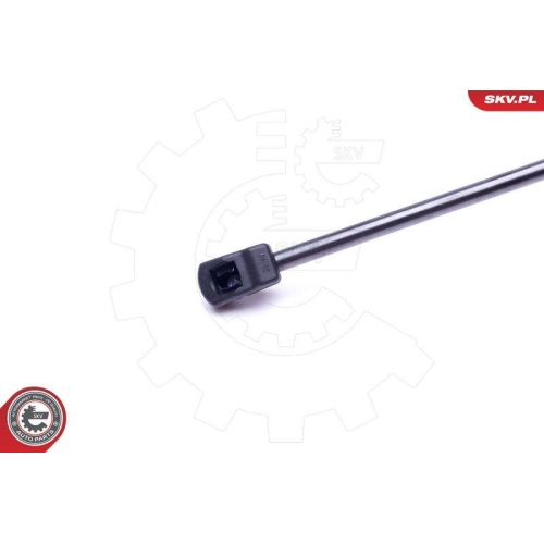 ESEN SKV Gasfeder, Koffer-/Laderaum