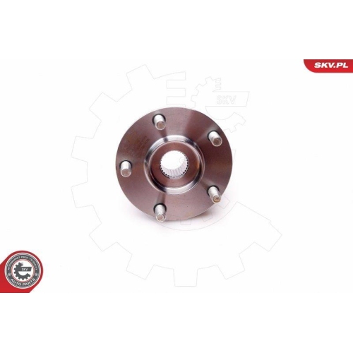 ESEN SKV Radlagersatz