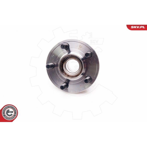 ESEN SKV Radlagersatz