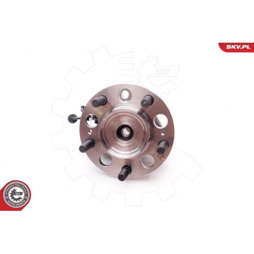 ESEN SKV Radlagersatz