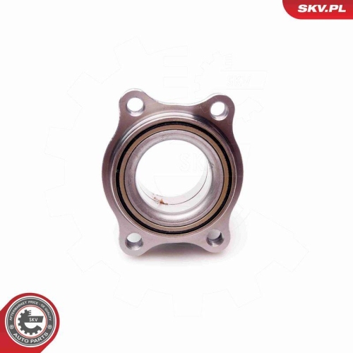 ESEN SKV Radlagersatz