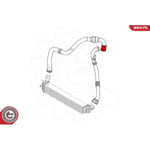 ESEN SKV Ladeluftschlauch