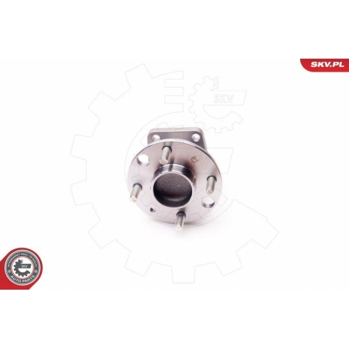 ESEN SKV Radlagersatz