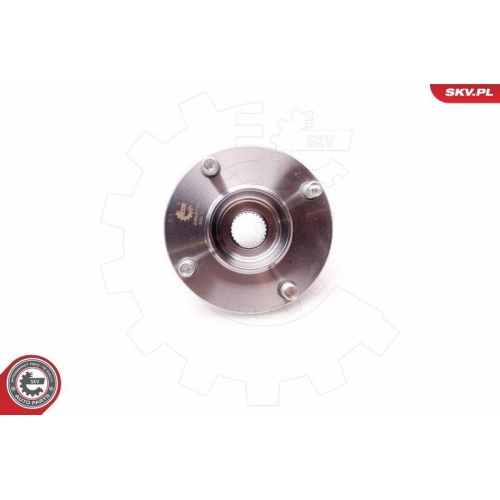 ESEN SKV Radlagersatz