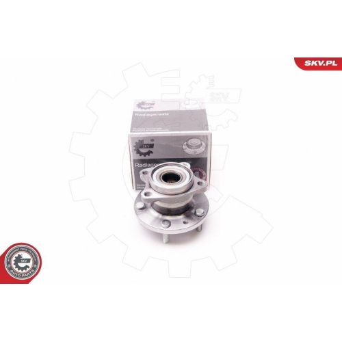 ESEN SKV Radlagersatz