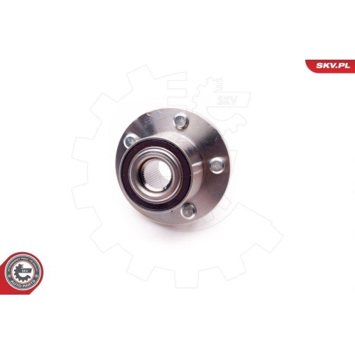 ESEN SKV Radlagersatz