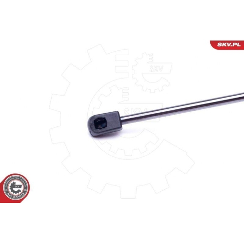 ESEN SKV Gasfeder, Koffer-/Laderaum