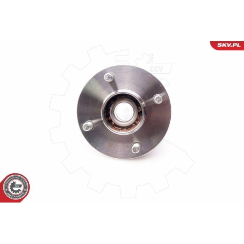 ESEN SKV Radlagersatz