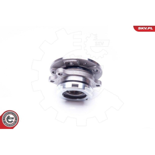ESEN SKV Radlagersatz