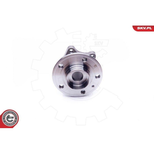 ESEN SKV Radlagersatz