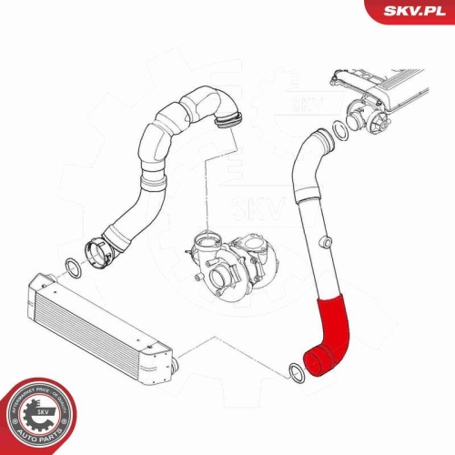 ESEN SKV Ladeluftschlauch