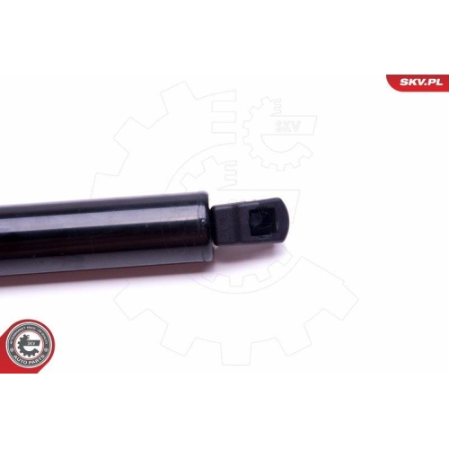 ESEN SKV Gasfeder, Koffer-/Laderaum