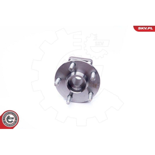 ESEN SKV Radlagersatz