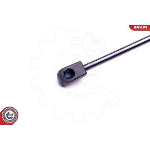 ESEN SKV Gasfeder, Koffer-/Laderaum