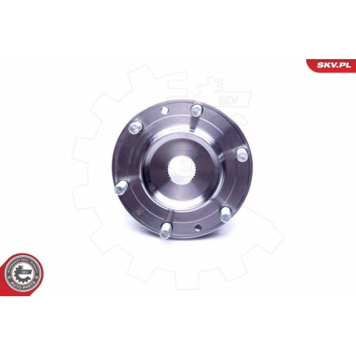 ESEN SKV Radlagersatz