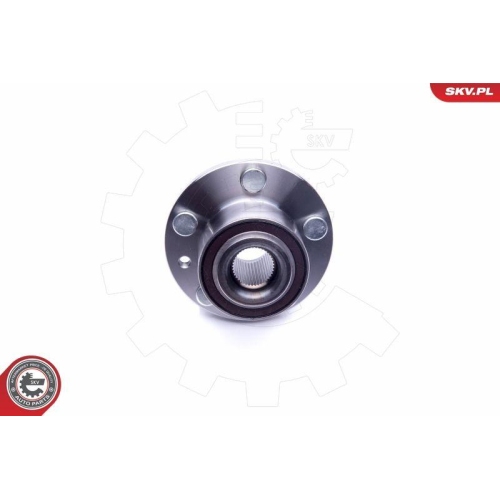 ESEN SKV Radlagersatz
