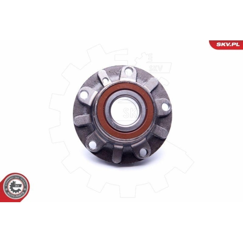 ESEN SKV Radlagersatz