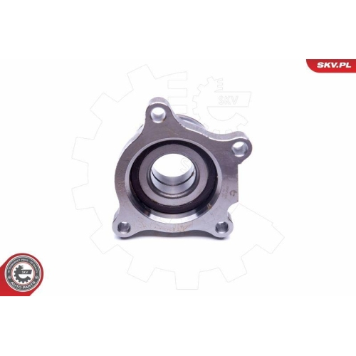 ESEN SKV Radlagersatz