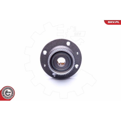 ESEN SKV Radlagersatz