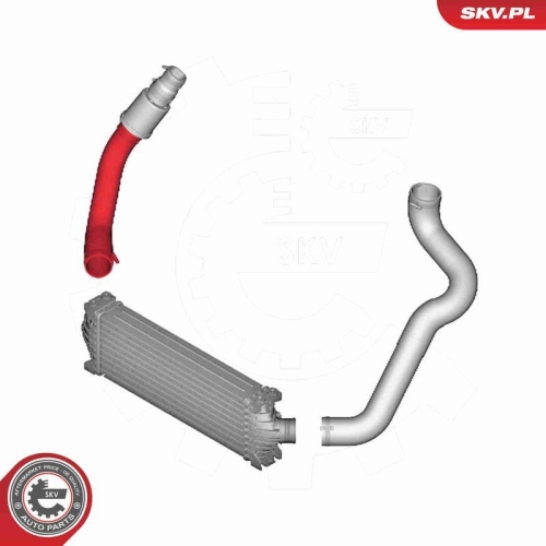 ESEN SKV Ladeluftschlauch