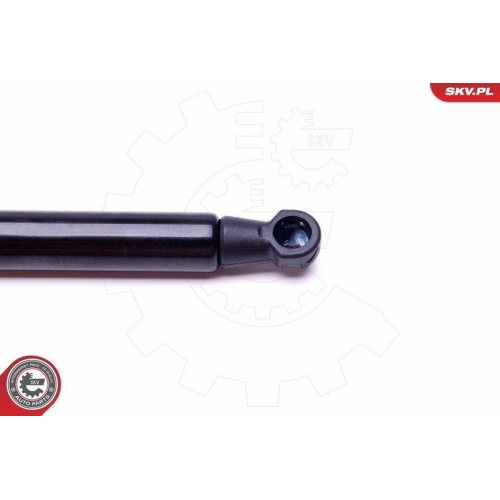 ESEN SKV Gasfeder, Koffer-/Laderaum