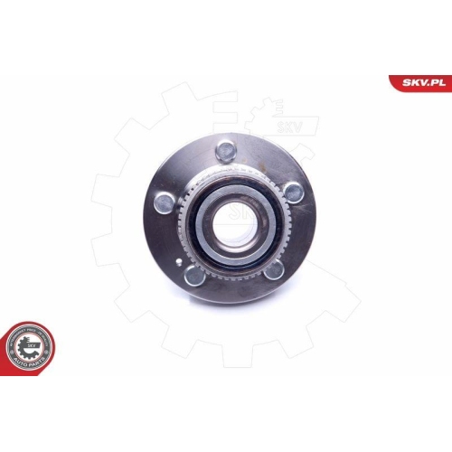 ESEN SKV Radlagersatz
