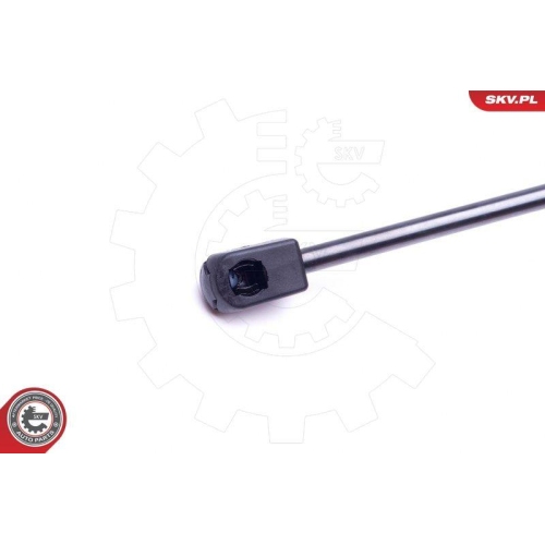 ESEN SKV Gasfeder, Koffer-/Laderaum