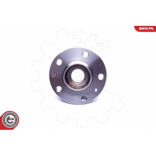 ESEN SKV Radlagersatz
