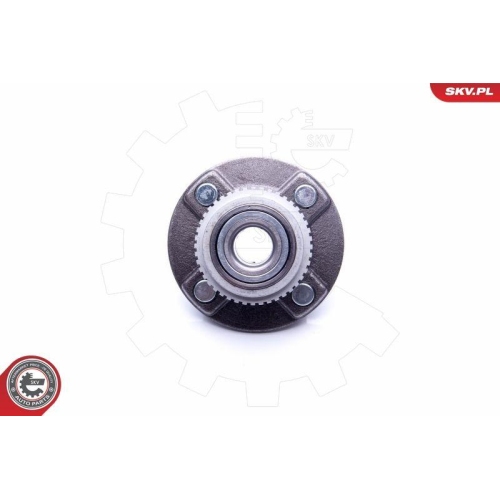 ESEN SKV Radlagersatz