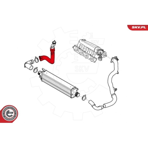 ESEN SKV Ladeluftschlauch