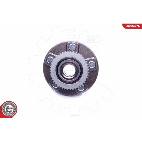 ESEN SKV Radlagersatz