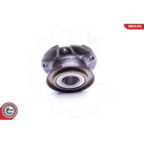 ESEN SKV Radlagersatz