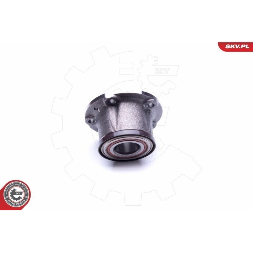 ESEN SKV Radlagersatz
