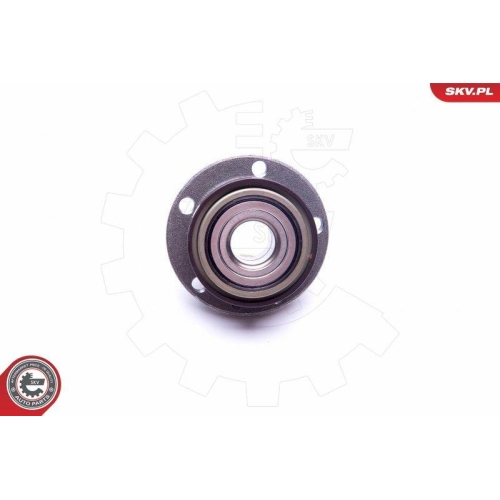 ESEN SKV Radlagersatz